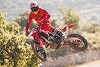 Lockerungen in Spanien: Marc und Alex Marquez trainieren wieder Motocross