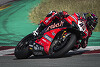 WSBK-Test Barcelona: Redding vor Rea und Baz, Cortese starker Siebter