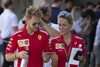 Sebastian Vettel bleibt dabei: Brauche keinen Manager