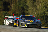 GTD Pro 2022: IMSA rechnet mit sechs Marken