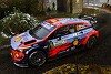 WRC Rallye Monza 2020: Dani Sordo führt - Elfyn Evans auf WM-Kurs
