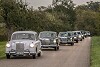 Oldtimer 2020: Der Bestand wächst weiter
