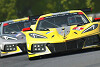 rFactor 2: Viele Verbesserungen und Korrekturen im neuen Haupt-Build