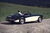 Sportlicher Brite: Austin Healey