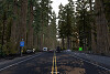 American Truck Simulator: V1.40 fügt neue Viewpoints hinzu
