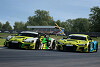 RaceRoom Racing Experience: Neues Update für die PC-Rennsimulation inklusive Warnhinweis