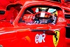 Schwarzman: Verpflichtende F1-Freitagstrainings eine große Chance