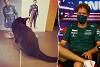 Formel-1-Liveticker: Das steckt hinter Vettels Gridstrafe!