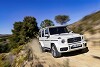 Mercedes G-Klasse: Gewerbekunden-Leasing ab 955 Euro/Monat netto