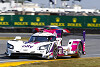 Mike Rockenfeller: IMSA-Programm mit Jimmie Johnson und Kamui Kobayashi