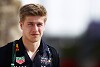 Red-Bull-Junior Jüri Vips darf in Barcelona statt Perez trainieren