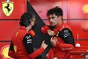 51 Punkte Differenz, aber: Ferrari schließt Stallorder aus