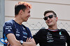 'Herausragend': Alexander Albon für Williams so wertvoll wie George Russell