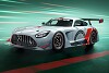 Mercedes-AMG GT3 Edition 55: Sondermodell mit nur fünf Exemplaren