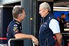 Horner: Herta einziger Kandidat, um Gasly bei AlphaTauri zu ersetzen