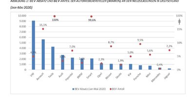 Elektromobilität: Manche Marken verkaufen unglaublich viele E-Mobile